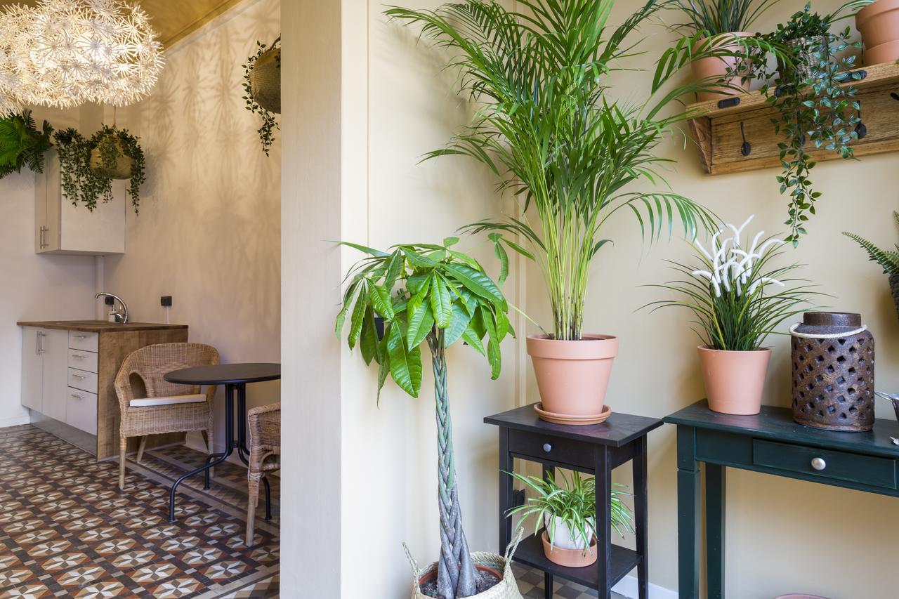 Casa Maca Barcelona (Adults Only) Otel Dış mekan fotoğraf